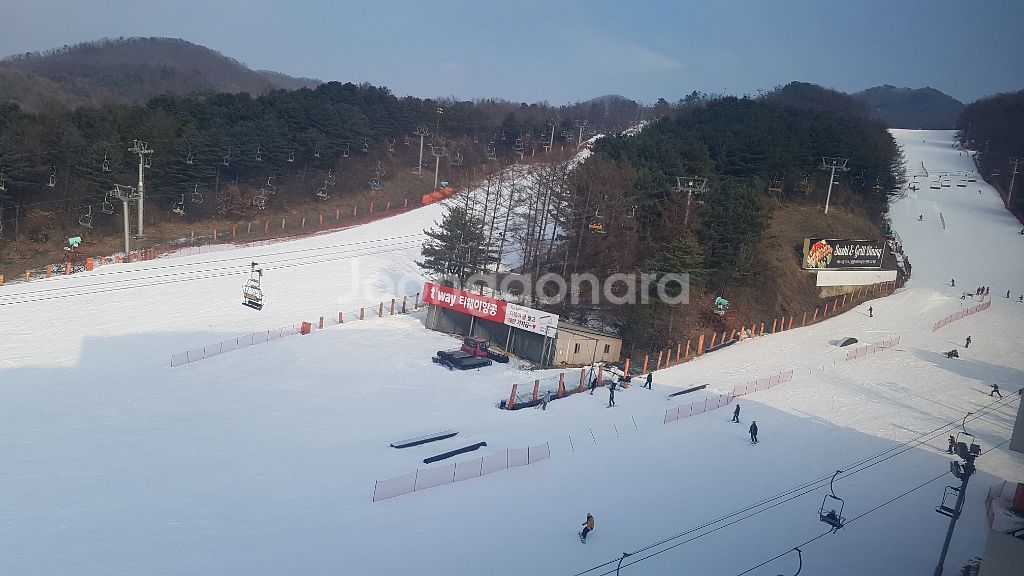 베어스타운 콘도 숙박 할인--1