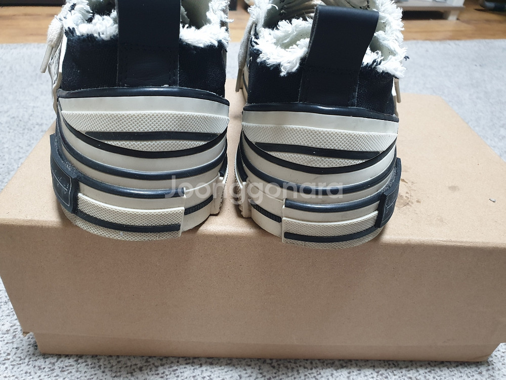 하이파더 펑첸왕 엑스베젤 컨버스--2