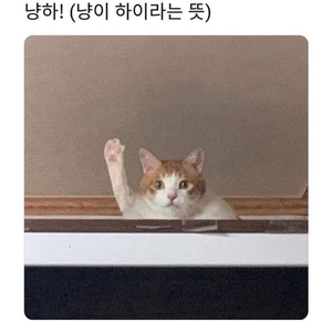 오디세이 g7 32인치 모니터 삽니다
