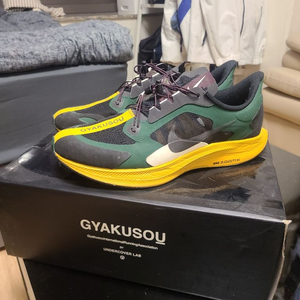 (한정판)Nike Zoom Pegasus 35 Turb