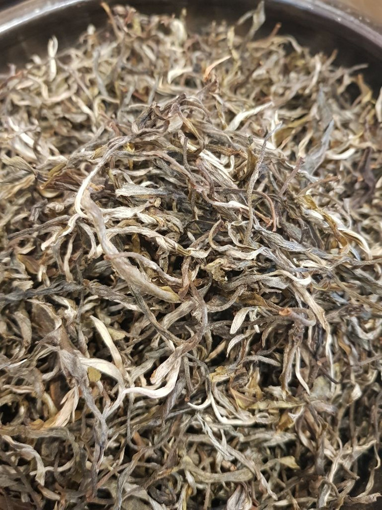 포랑산보이차#보이차#생차#향긋한차#힐링차#기분좋아지는차--1