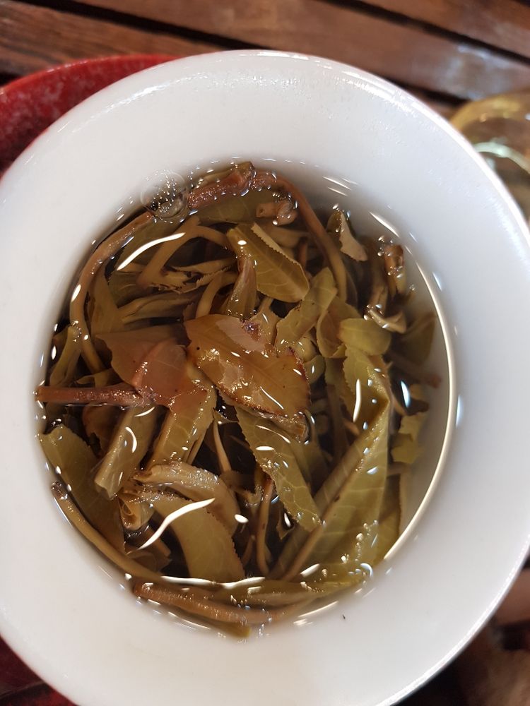 포랑산보이차#보이차#생차#향긋한차#힐링차#기분좋아지는차--4