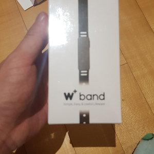 w band 밴드