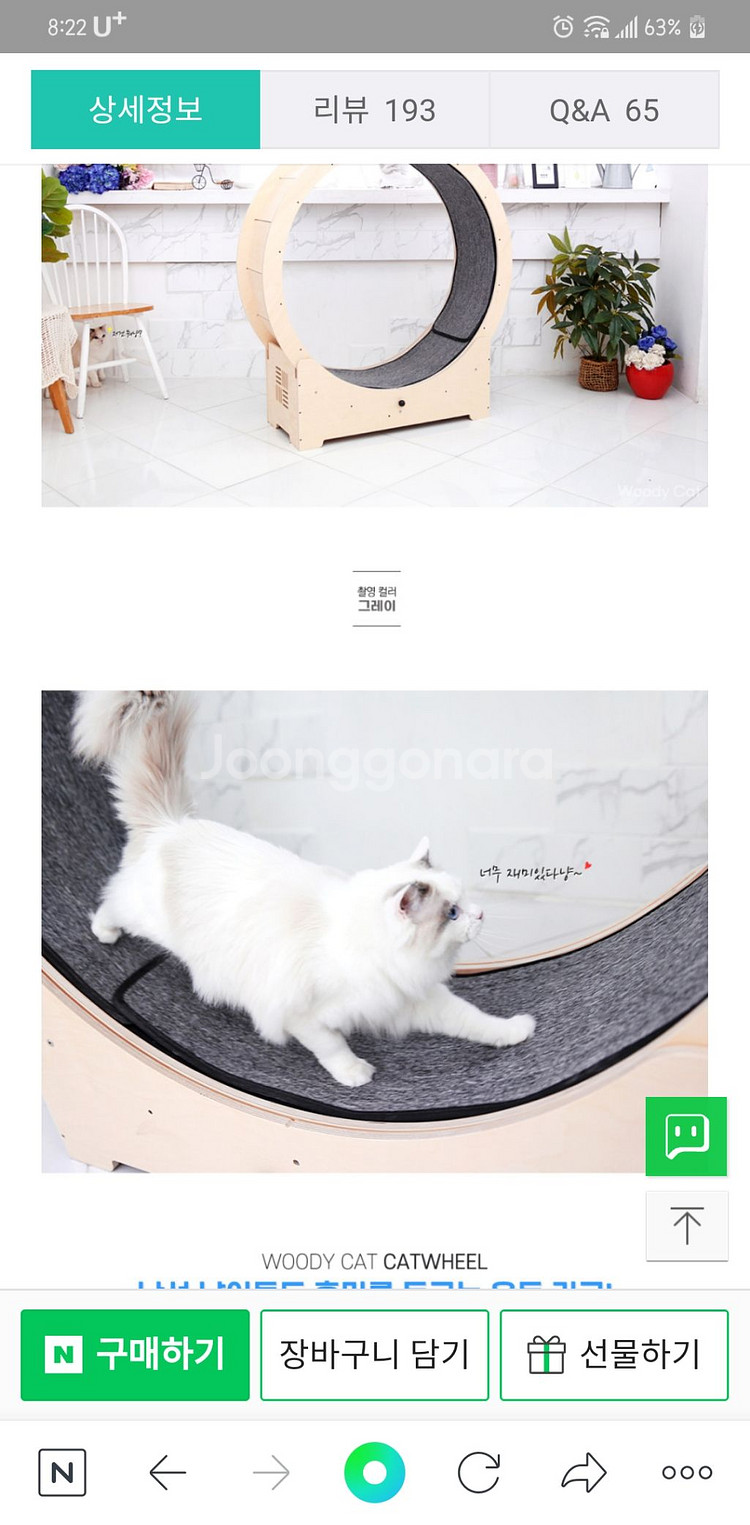 우디캣 무소음 캣휠 판매해요--1
