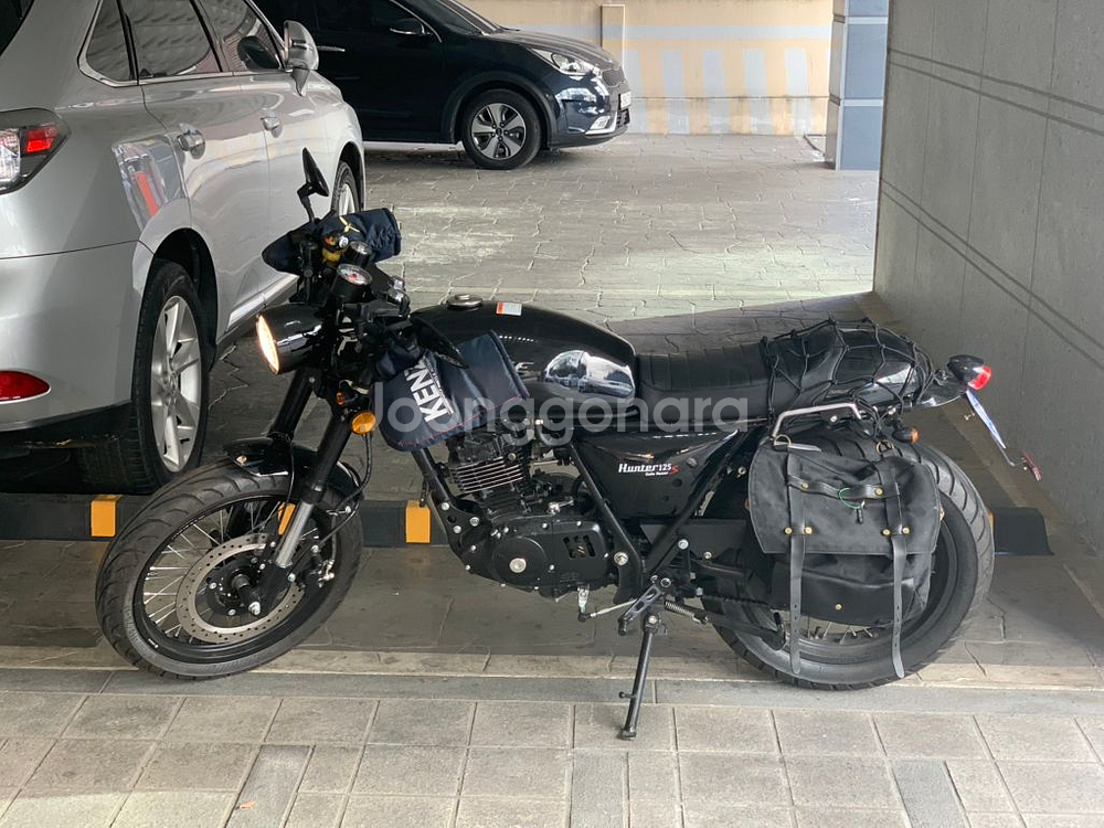 엘로이혼터125--4