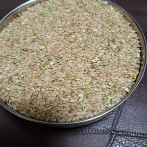 2022년산 친환경 현미쌀 (신동진) 20Kg