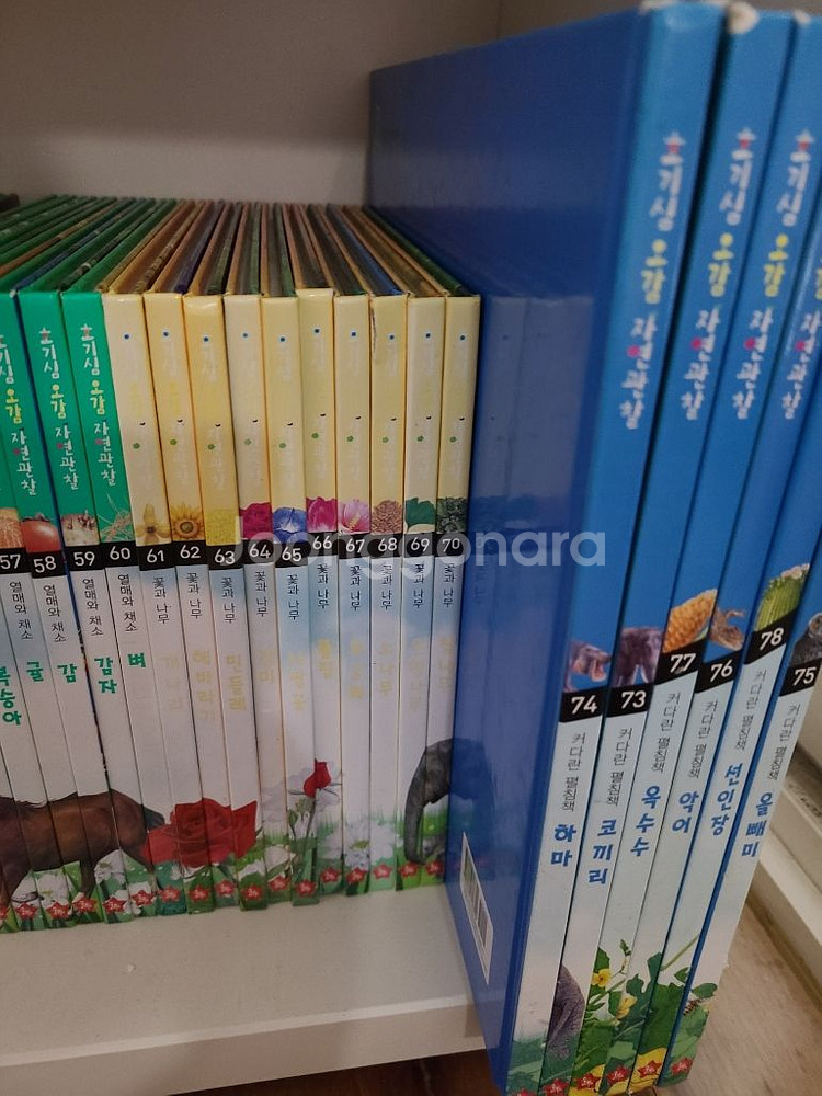 호기심 오감 자연관찰 전집74권--0