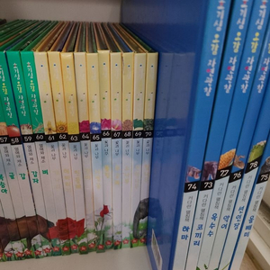 호기심 오감 자연관찰 전집74권