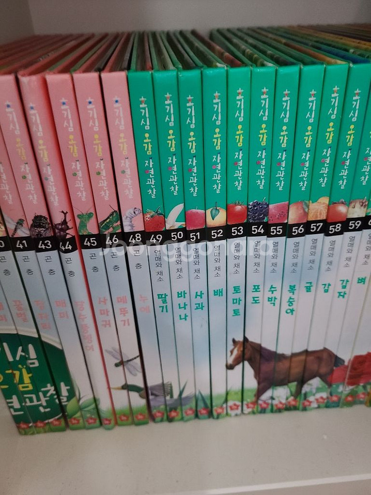 호기심 오감 자연관찰 전집74권--1