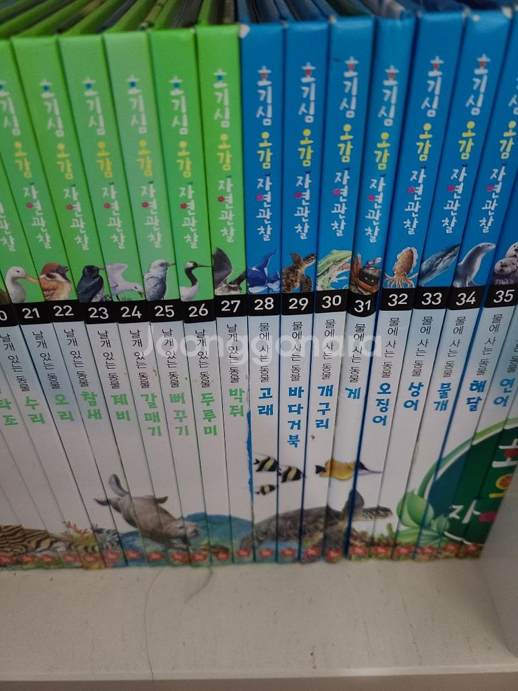 호기심 오감 자연관찰 전집74권--2