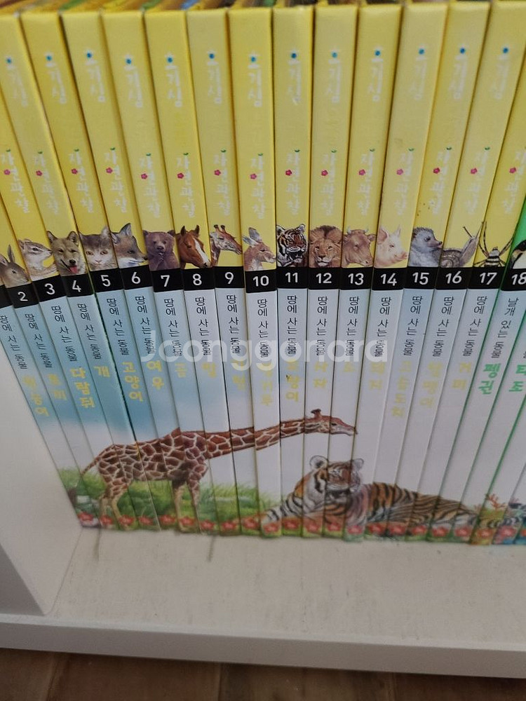 호기심 오감 자연관찰 전집74권--3