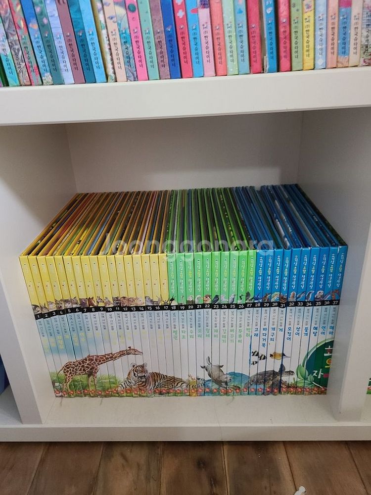 호기심 오감 자연관찰 전집74권--4