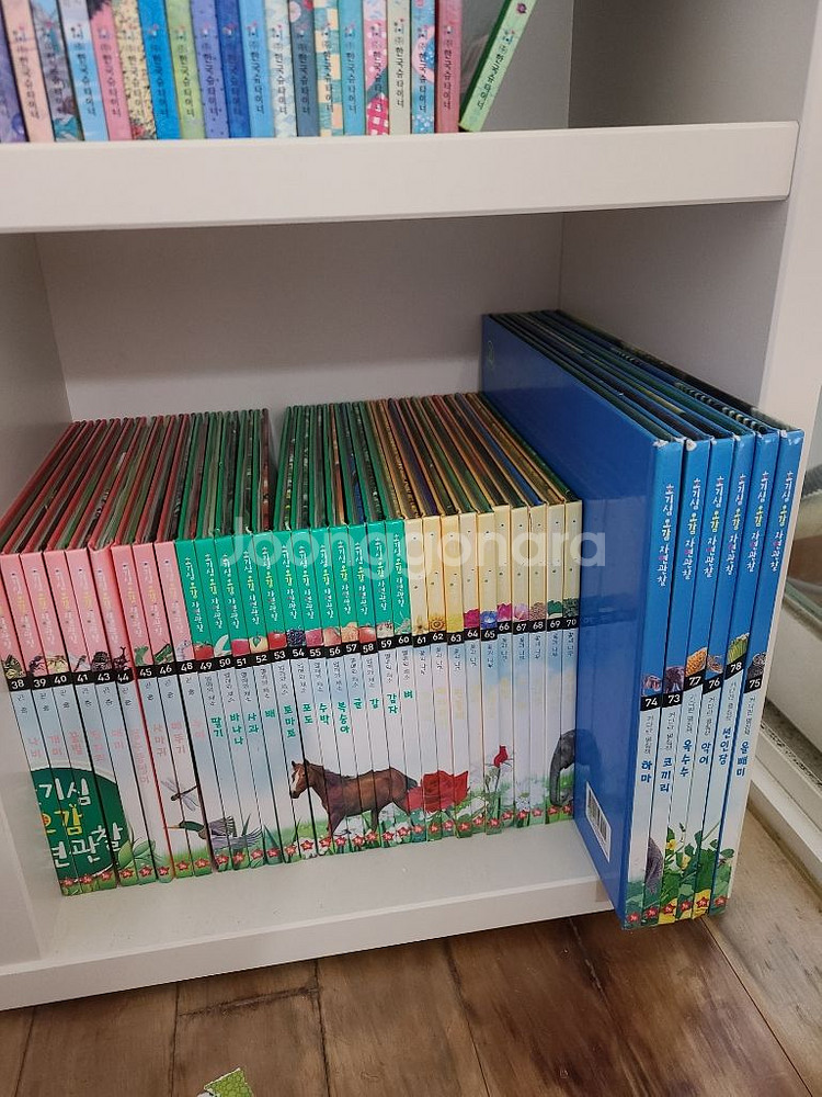 호기심 오감 자연관찰 전집74권--5