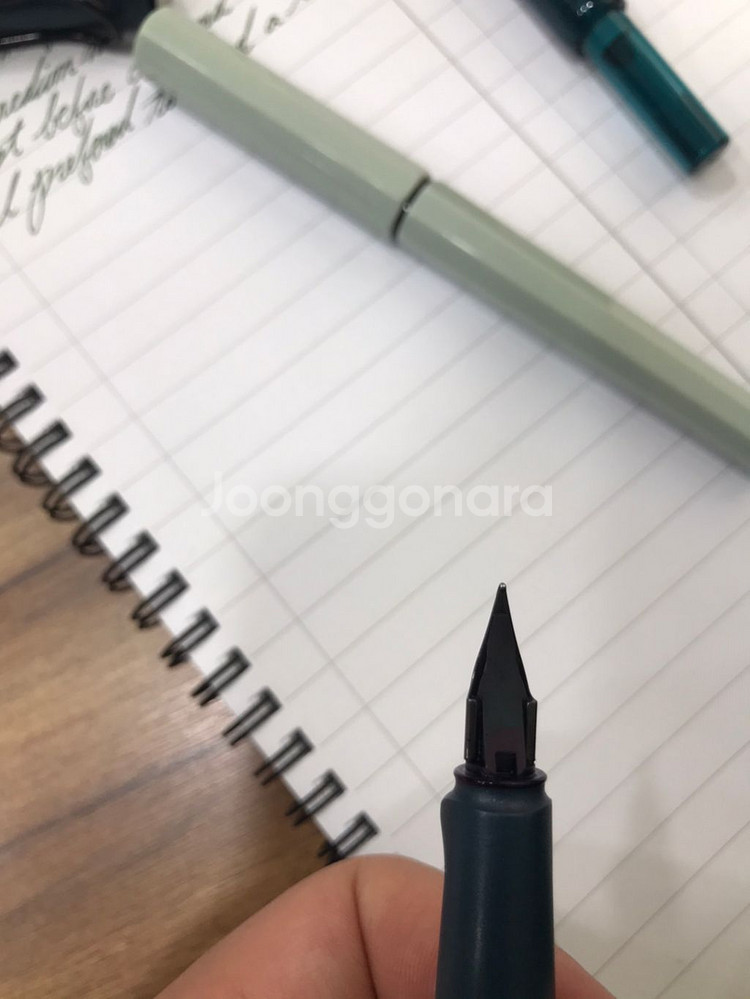 플래티넘,라미 만년필 판매합니다--4