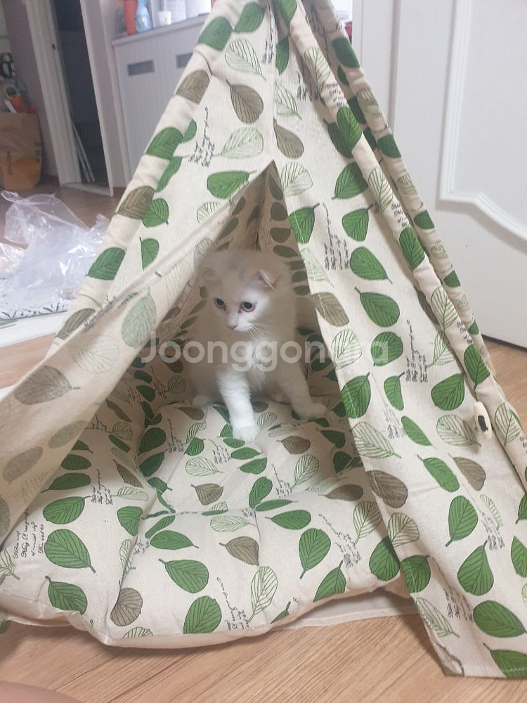 고양이,강아지 집텐트--2