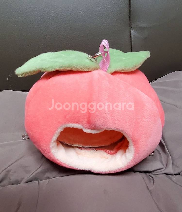 앵무새 복숭아 포치(새상품,무료배송)--0