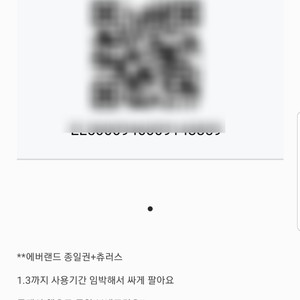 에버랜드 종일권 2장 30000원 1월 3일까지