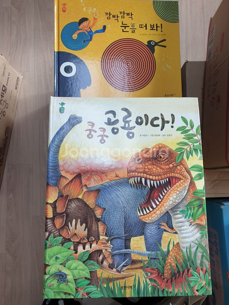 웅진 첫지식 그림책 콩알 어린이--3