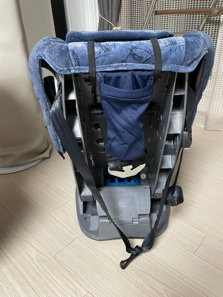 브라이텍스 커시트 이미지