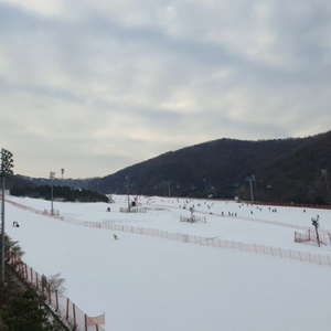 곤지암 올데이 시즌권 65만원