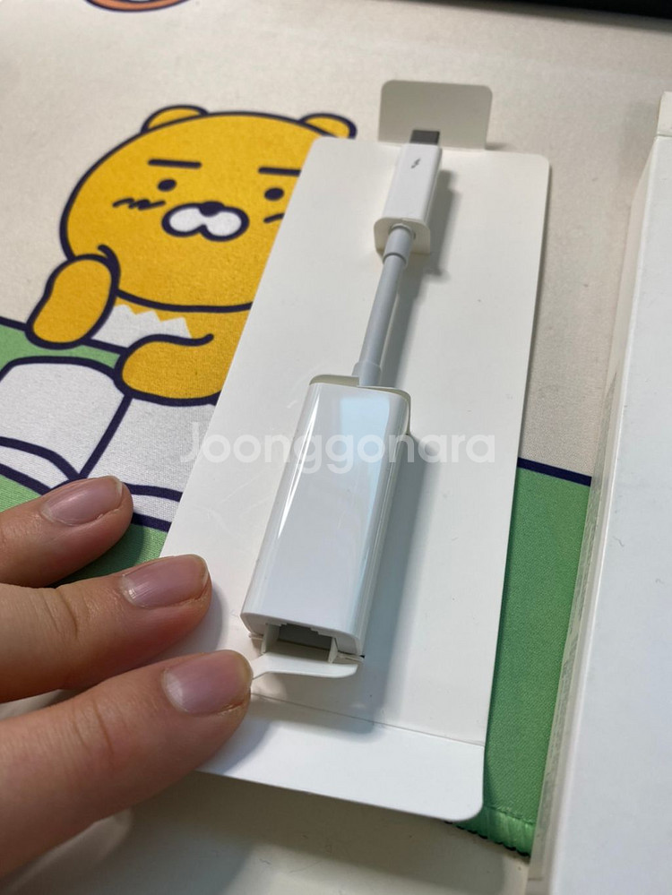애플 정품 인터넷 어댑터--2
