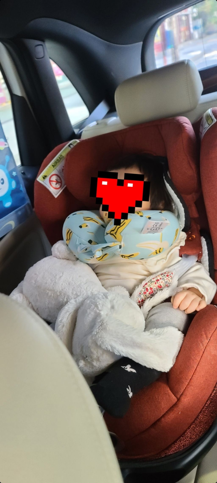 싸이벡스제로나큐아이사이즈플러스--0