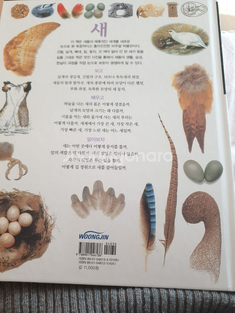 웅진 비주얼 박물관 1번 새--1