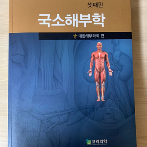 국소해부학 고려의학