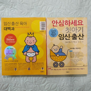 임신출산책