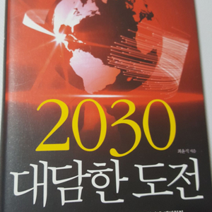 2030 대담한 도전