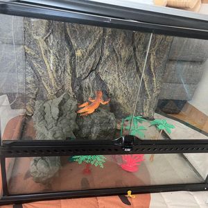 exo terra 엑소테라 파충류사육장