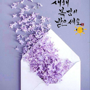 등업신청