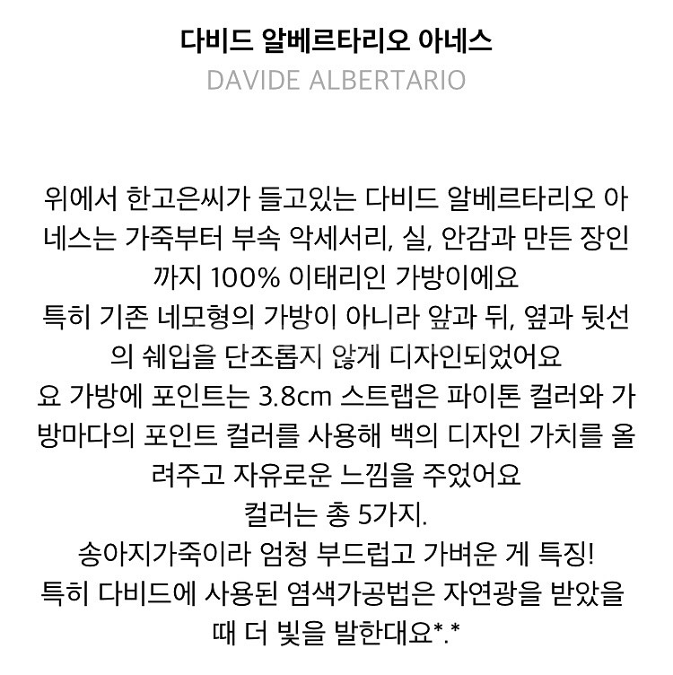 다비드 알베르타리오 아네스백 (고급송아지가죽)--6