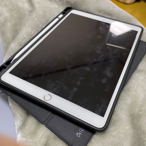 iPad Pro 2세대 256gb 로즈골드