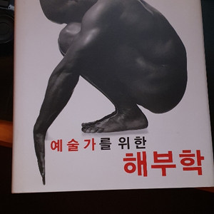 예술가를 위한 해부학