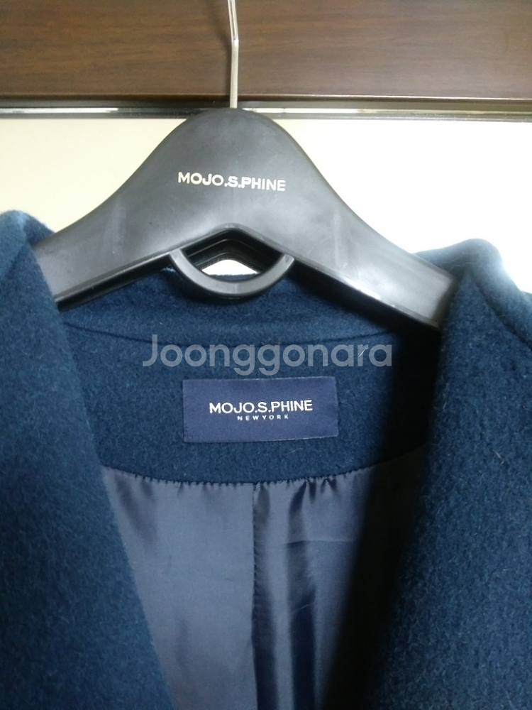모조에스핀코트--2