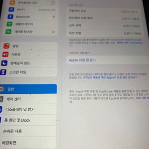 아이패드 미니5 LTE 64GB(일본 애플케 1회+펜)