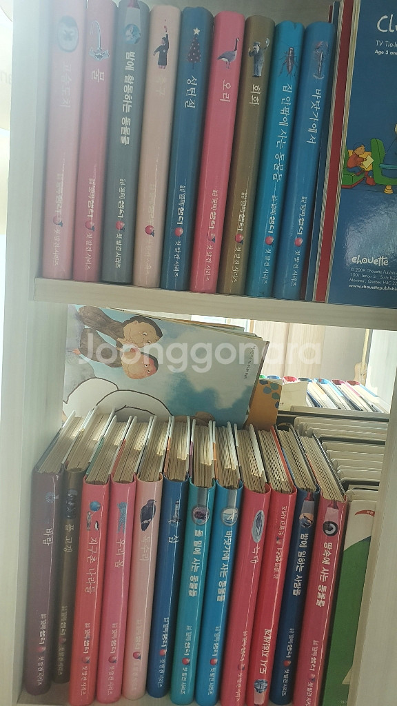 오르다첫발견80권--1