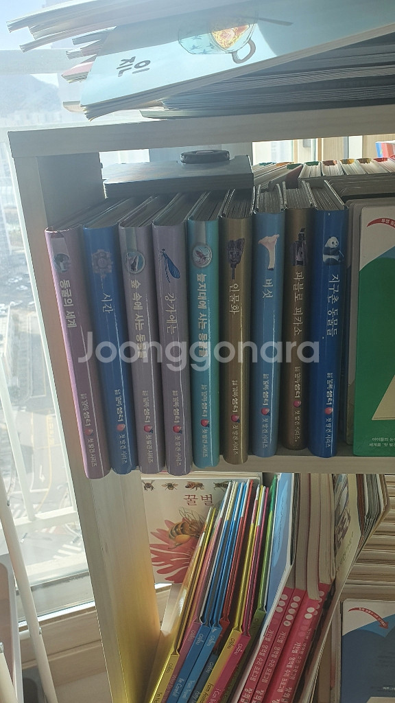 오르다첫발견80권--3