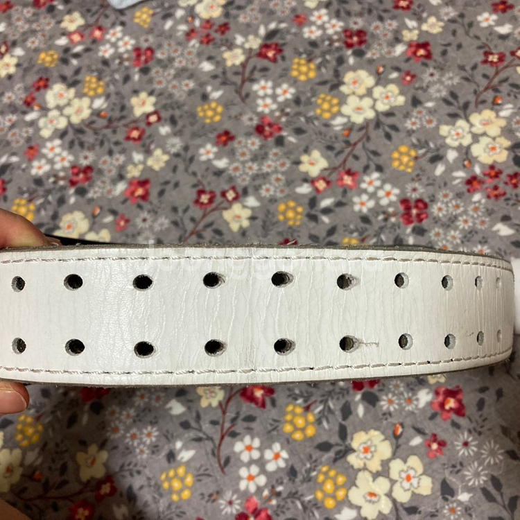 크리오로지벨트 사이즈 L--1