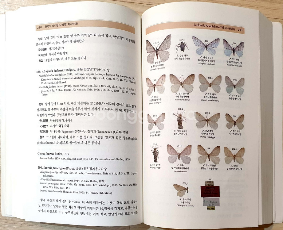 한국 나방류 도감들 판매합니다. [곤충 도감]--1
