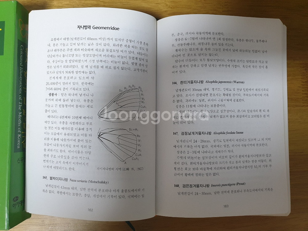 한국 나방류 도감들 판매합니다. [곤충 도감]--4