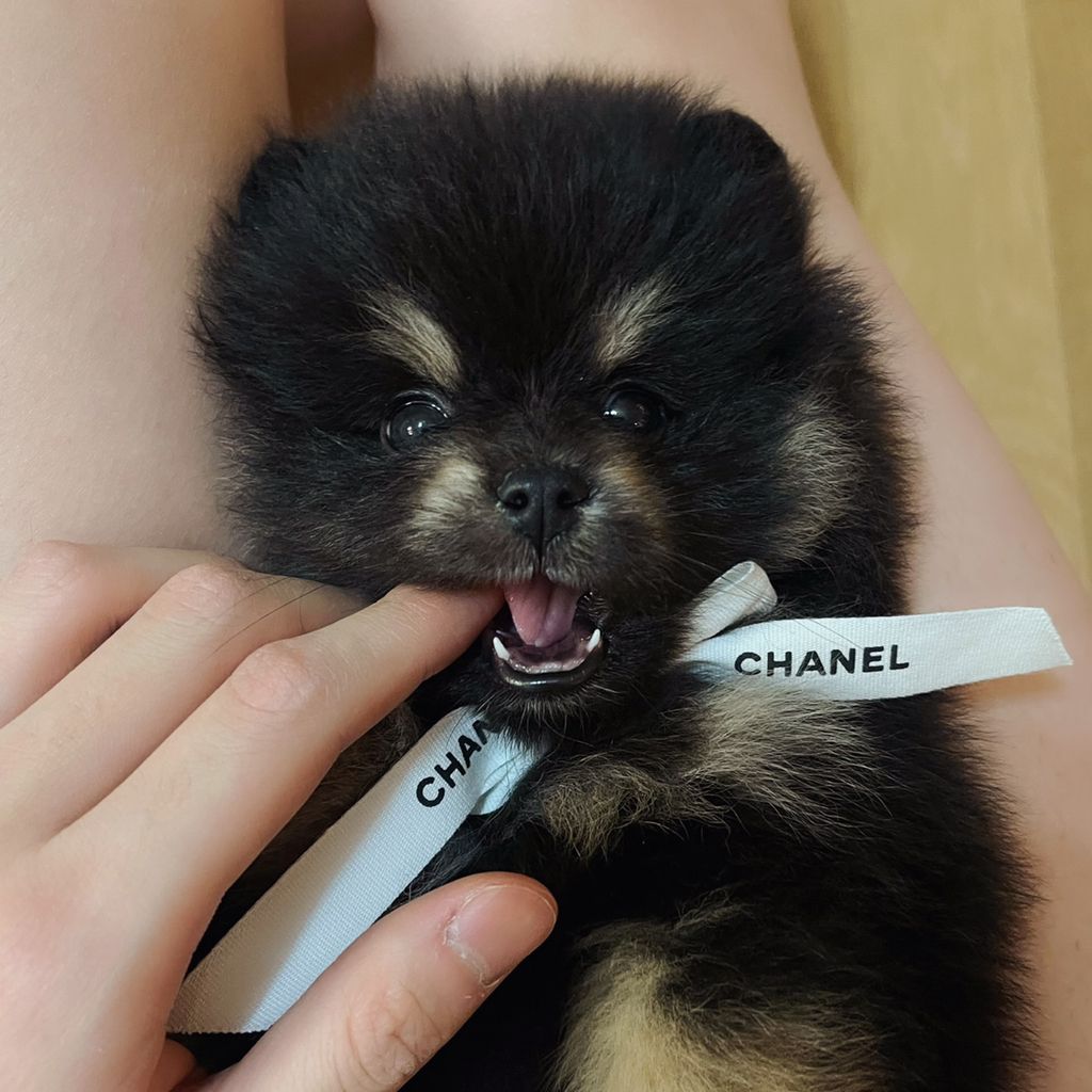 프로파일