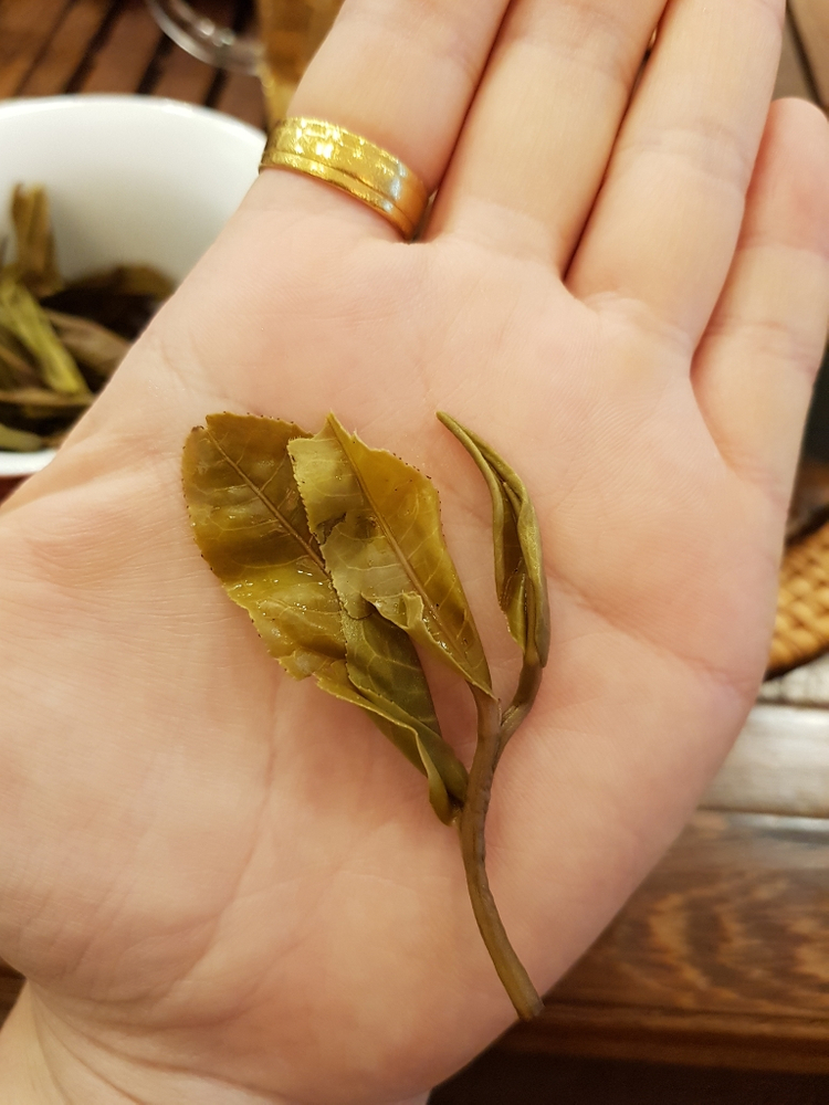 빙도보이차/운남성보이차/상급보이차--8