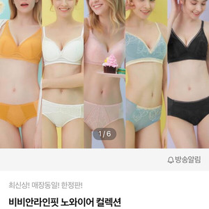 비비안 노와이어 라인 핏