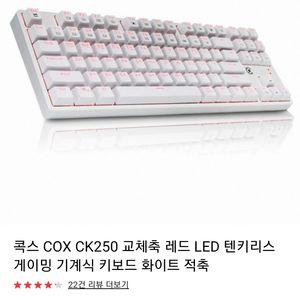 cox ck250 키보드