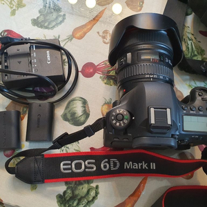 캐논 카메라 EOS 6D MARK ll (육두막)