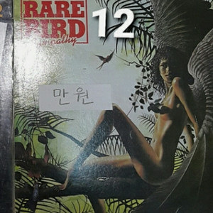 Rare bird lp