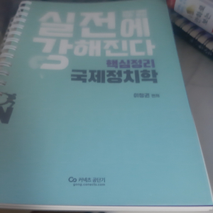 이창권 실전에 강하다 국제 정치학 기본서 팔아요