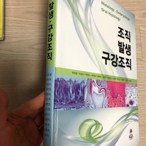 구강조직발생학 조직 발생 구강조직 -고문사